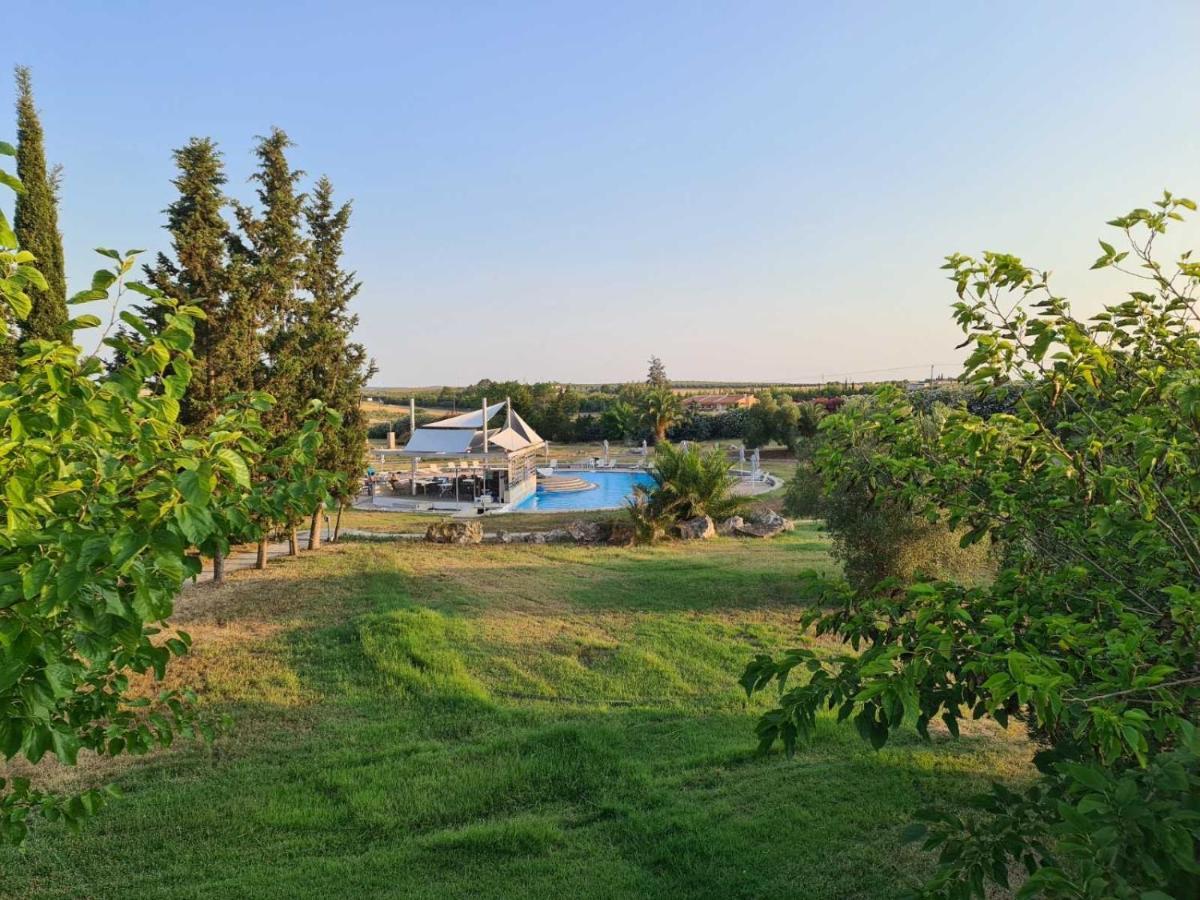 Janis Seaview Villa Néa Fókaia Exterior foto